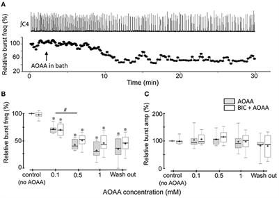 Excitatory Modulation of the preBötzinger Complex Inspiratory Rhythm Generating Network by Endogenous Hydrogen Sulfide